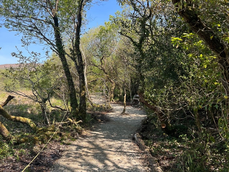 Lanjeth Nursery & Water Gardens